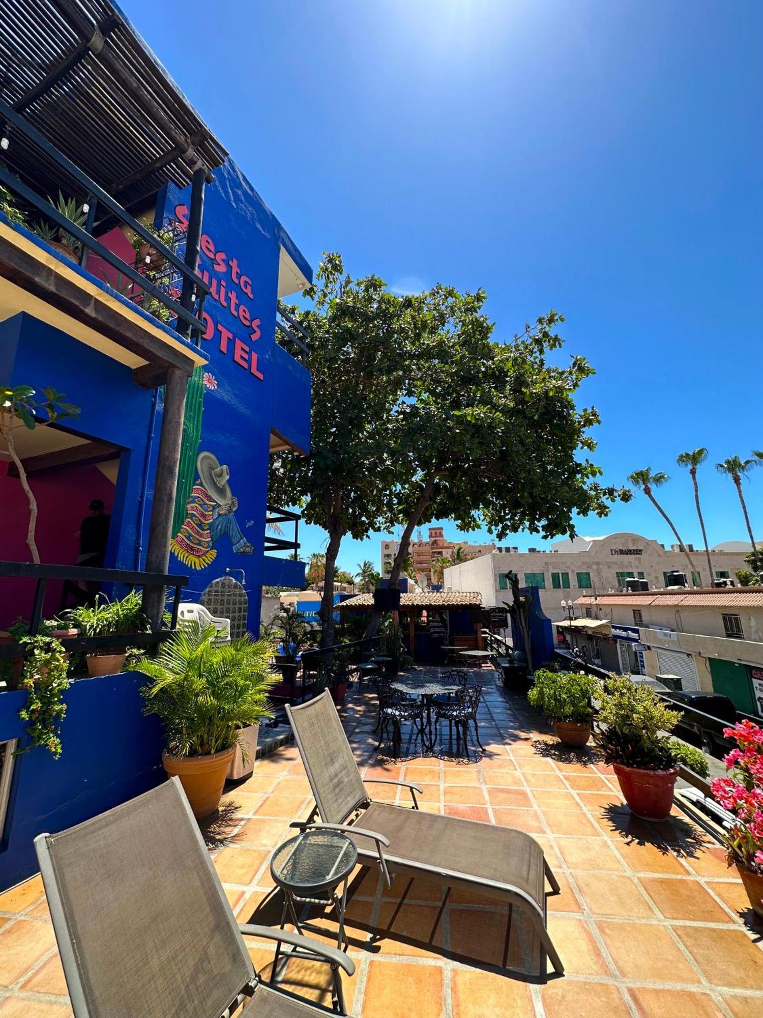 Siesta Suites Boutique Hotel Cabo San Lucas Exterior photo