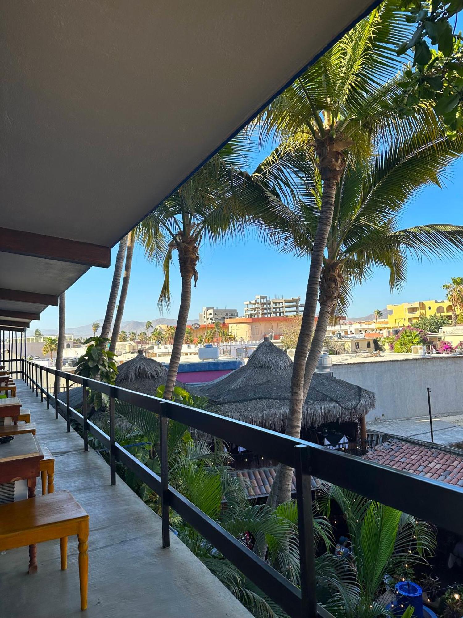 Siesta Suites Boutique Hotel Cabo San Lucas Exterior photo