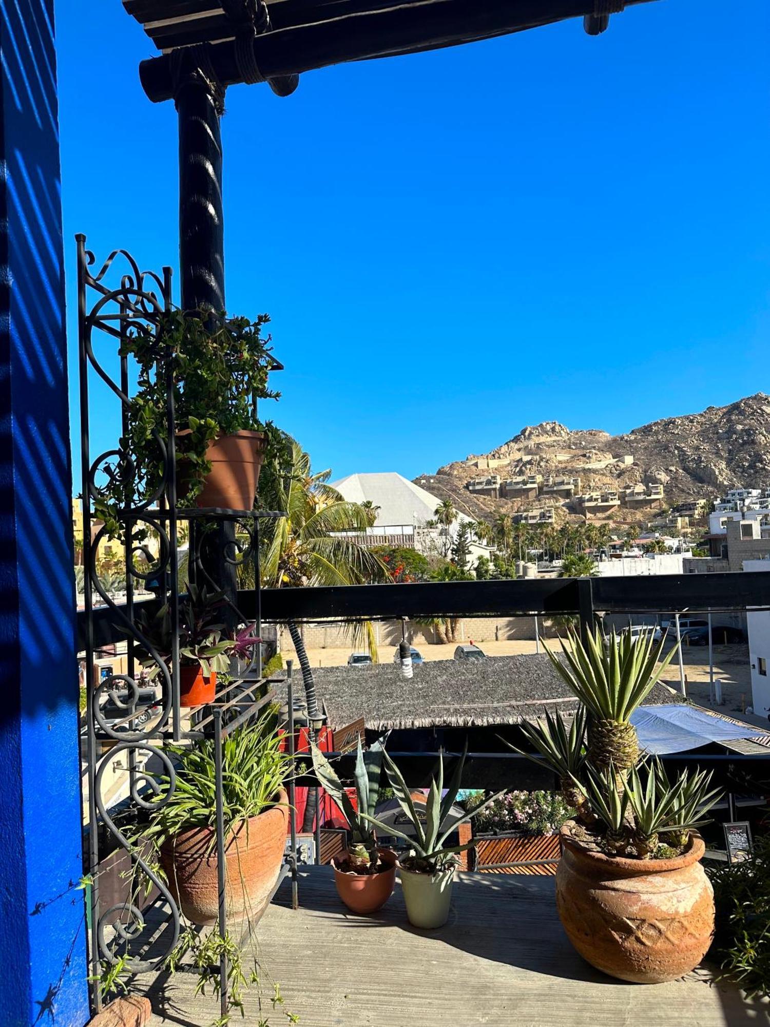 Siesta Suites Boutique Hotel Cabo San Lucas Exterior photo