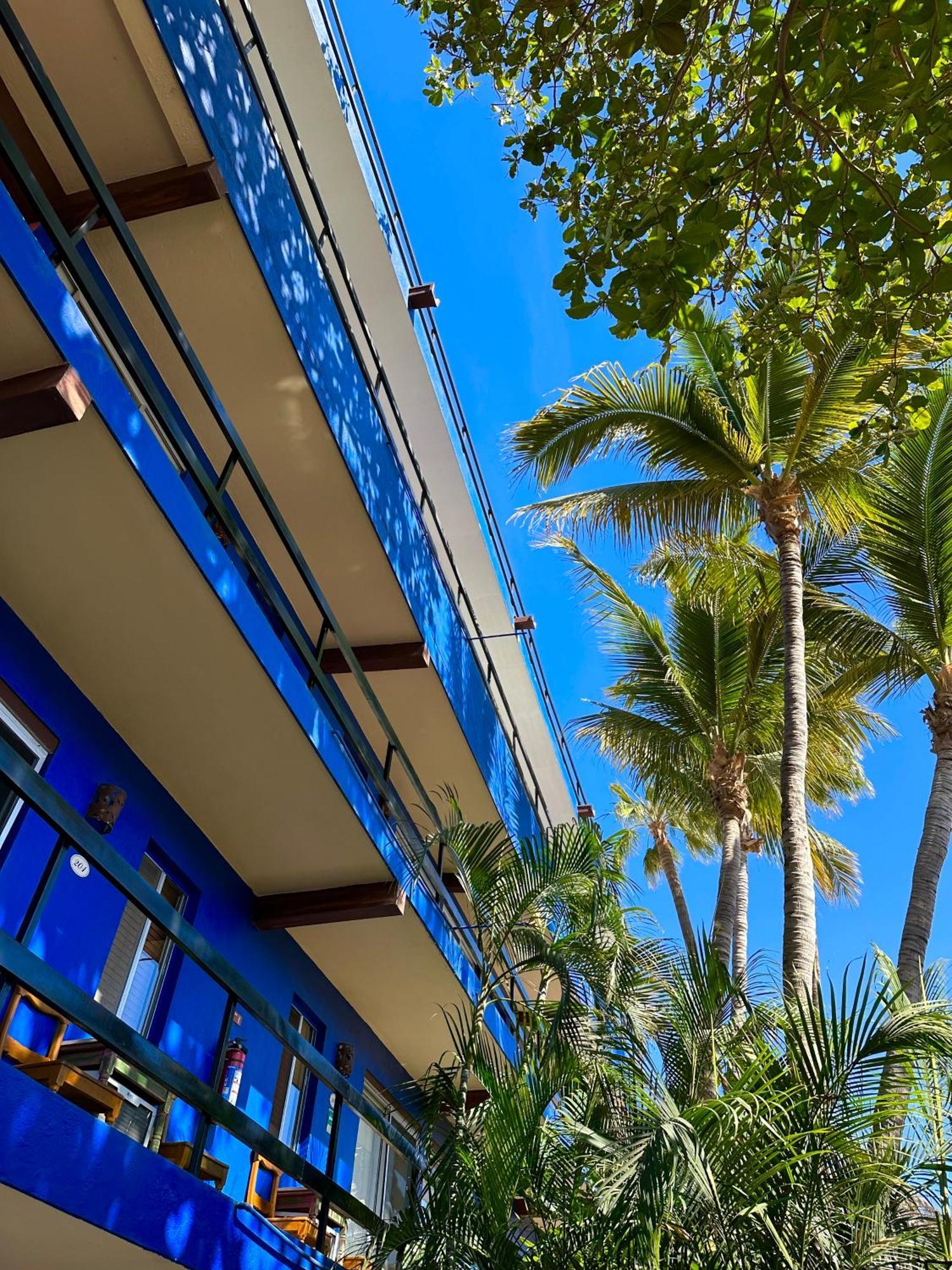Siesta Suites Boutique Hotel Cabo San Lucas Exterior photo